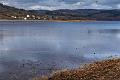 2019_02_09_Lac de Panneciere (0028)